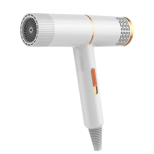 Professional High Power Hair Dryer